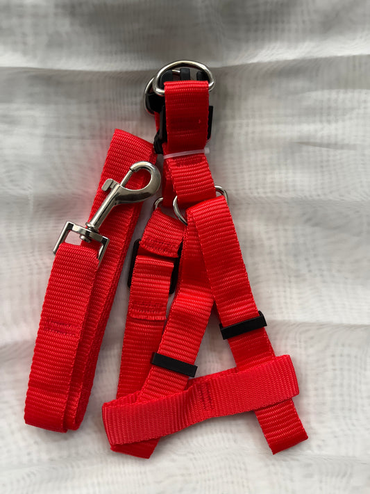 Dog Harness and Dog Leash