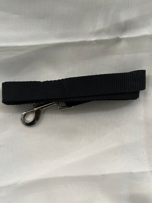 Dog Leash