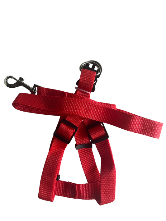 Dog Harness and Dog Leash With Strong Clip